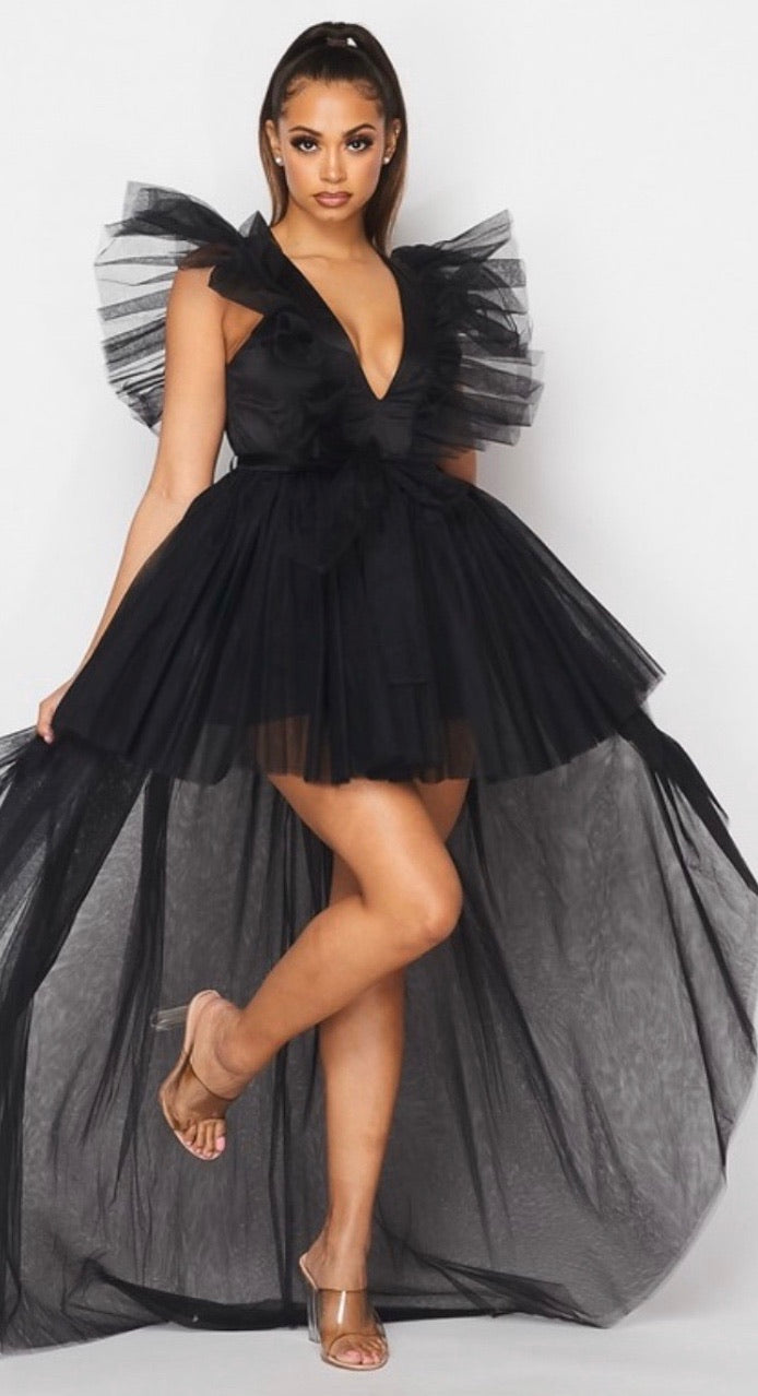 Black Swan Dress