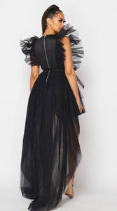 Black Swan Dress